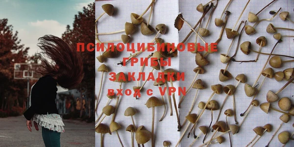 дживик Арсеньев