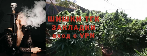 дживик Арсеньев
