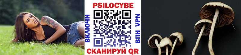 Псилоцибиновые грибы мицелий  Обоянь 